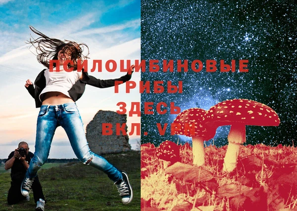 MDMA Premium VHQ Бородино