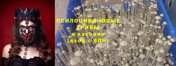 герыч Бронницы