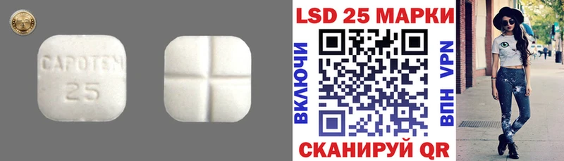 закладка  Торжок  Лсд 25 экстази ecstasy 