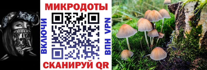Галлюциногенные грибы Cubensis Торжок
