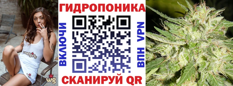 Бошки марихуана OG Kush Торжок